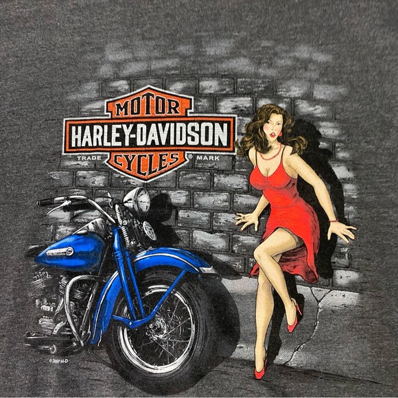 Harley Davidson T Shirt Men's 4XL Gray Motorcycle Double Sided 2007 Made in USA - Picture 4 of 9